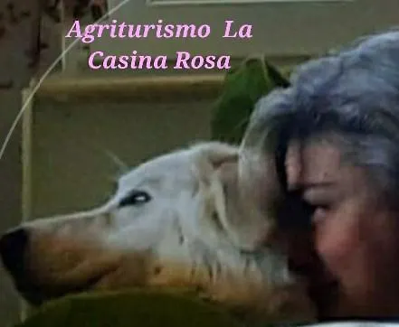Agriturismo La Casina Rosa